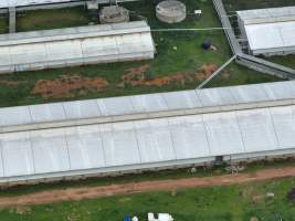 Drone flyover of piggery - Captured at Golden Grove Piggery, Young NSW Australia.