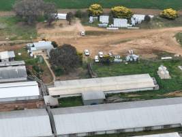 Drone flyover of piggery - Captured at Golden Grove Piggery, Young NSW Australia.