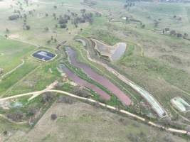 Drone flyover of piggery - Captured at Golden Grove Piggery, Young NSW Australia.