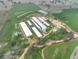 Drone flyover of piggery - Captured at Golden Grove Piggery, Young NSW Australia.