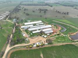 Drone flyover of piggery - Captured at Golden Grove Piggery, Young NSW Australia.