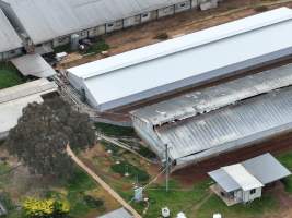Drone flyover of piggery - Captured at Golden Grove Piggery, Young NSW Australia.