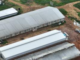 Drone flyover of piggery - Captured at Golden Grove Piggery, Young NSW Australia.