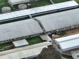 Drone flyover of piggery - Captured at Golden Grove Piggery, Young NSW Australia.