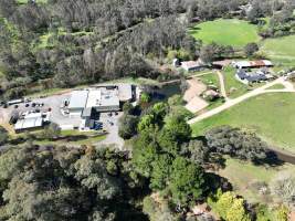 Drone flyover of slaughterhouse - Captured at Game Meats Company Slaughterhouse, Eurobin VIC Australia.