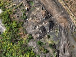 Summerhill Piggery - Aerial view of dead pile outside Summerhill Piggery. - Captured at Summerhill Piggery, Bowenville QLD Australia.