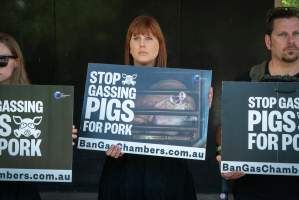 Animal rights activists attending the Rally For Pigs 2025 - Animal rights activists attending a rally outside Victorian Premier, Jacinta Allan's office. Around 50 protestors laid the bodies of dead piglets outside the office, each one symobolising one of the twenty piggeries which had been investigated in a coordinated effort by numerous teams of anonymous activists over the weekend of January 18 & 19, 2025. - Captured at VIC.