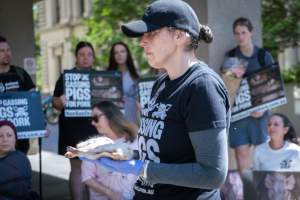 Animal rights activists attending the Rally For Pigs 2025 - Animal rights activists attending a rally outside Victorian Premier, Jacinta Allan's office. Around 50 protestors laid the bodies of dead piglets outside the office, each one symobolising one of the twenty piggeries which had been investigated in a coordinated effort by numerous teams of anonymous activists over the weekend of January 18 & 19, 2025. - Captured at VIC.
