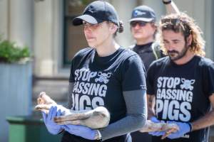 Animal rights activists attending the Rally For Pigs 2025 - Animal rights activists attending a rally outside Victorian Premier, Jacinta Allan's office. Around 50 protestors laid the bodies of dead piglets outside the office, each one symobolising one of the twenty piggeries which had been investigated in a coordinated effort by numerous teams of anonymous activists over the weekend of January 18 & 19, 2025. - Captured at VIC.
