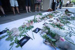 Animal rights activists attending the Rally For Pigs 2025 - Animal rights activists attending a rally outside Victorian Premier, Jacinta Allan's office. Around 50 protestors laid the bodies of dead piglets outside the office, each one symobolising one of the twenty piggeries which had been investigated in a coordinated effort by numerous teams of anonymous activists over the weekend of January 18 & 19, 2025. - Captured at VIC.