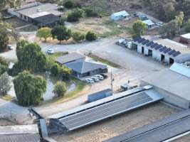Drone flyover - Aerial view of piggery - Captured at Kia-Ora Piggery, Yarrawalla VIC Australia.