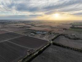 Drone flyover - Aerial view of piggery - Captured at Calivil Breeder, Calivil VIC Australia.