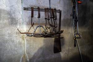 Shackles used to hoist the corpses of cows once they have been slaughtered - Captured at Millmerran Meats, Millmerran QLD Australia.