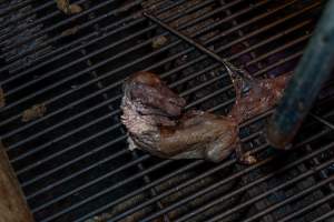 Dead piglet in farrowing crate - Evidently died in the womb - Captured at Van der Drift & Sons Piggery, Macorna VIC Australia.