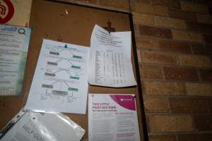 Paperwork in office including 2024 stats - Facility identified as Van Der Drift & Sons Pty Ltd - Captured at Van der Drift & Sons Piggery, Macorna VIC Australia.
