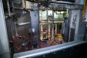 Overview of the kill room at Greenmountain - Captured at Greenmountain Food Processing, Coominya QLD Australia.