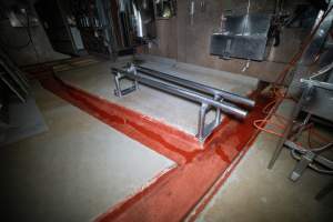 Bench used when cows are butchered - Captured at Carey Bros Abattoir, Yangan QLD Australia.