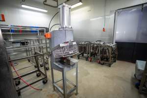 Overview of slaughterhouse room - Captured at Carey Bros Abattoir, Yangan QLD Australia.