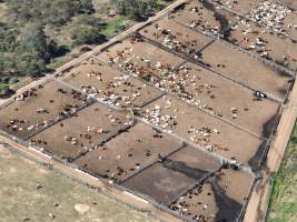 Drone flyover of slaughterhouse - Captured at Greenmountain Food Processing, Coominya QLD Australia.