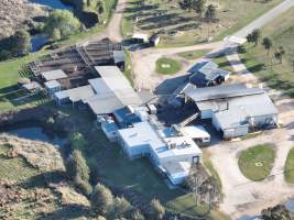 Drone flyover of slaughterhouse - Captured at Carey Bros Abattoir, Yangan QLD Australia.