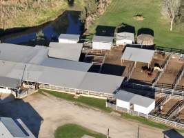 Drone flyover of slaughterhouse - Captured at Carey Bros Abattoir, Yangan QLD Australia.