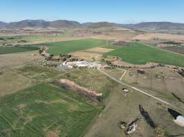 Drone flyover of slaughterhouse - Captured at Carey Bros Abattoir, Yangan QLD Australia.