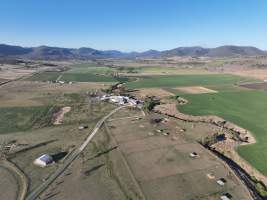 Drone flyover of slaughterhouse - Captured at Carey Bros Abattoir, Yangan QLD Australia.