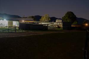 Outside slaughterhouse at night - Captured at Carey Bros Abattoir, Yangan QLD Australia.