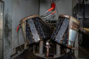 End of V restraint - Electric stunner tongs resting on top - Captured at Carey Bros Abattoir, Yangan QLD Australia.
