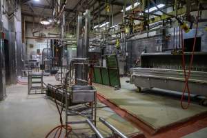 Processing room - Scalding tank at right - Captured at Carey Bros Abattoir, Yangan QLD Australia.