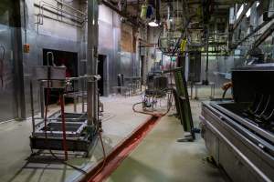 Processing room - Scalding tank at right - Captured at Carey Bros Abattoir, Yangan QLD Australia.