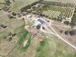 Drone flyover of slaughterhouse - Captured at Brisbane Valley Meats, Esk QLD Australia.