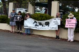 Protest outside of Queanbeyan Rodeo - Photos taken at a protest organised by Animal Liberation ACT and Animal Defenders Office outside of Queanbeyan Rodeo, where animals such as horse and cattle have been seen and recorded being chased, mistreated, and tormented. - Captured at NSW.