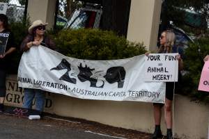Protest outside of Queanbeyan Rodeo - Photos taken at a protest organised by Animal Liberation ACT and Animal Defenders Office outside of Queanbeyan Rodeo, where animals such as horse and cattle have been seen and recorded being chased, mistreated, and tormented. - Captured at NSW.