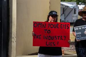 Protest outside of Queanbeyan Rodeo - Photos taken at a protest organised by Animal Liberation ACT and Animal Defenders Office outside of Queanbeyan Rodeo, where animals such as horse and cattle have been seen and recorded being chased, mistreated, and tormented. - Captured at NSW.