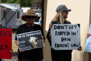 Protest outside of Queanbeyan Rodeo - Photos taken at a protest organised by Animal Liberation ACT and Animal Defenders Office outside of Queanbeyan Rodeo, where animals such as horse and cattle have been seen and recorded being chased, mistreated, and tormented. - Captured at NSW.