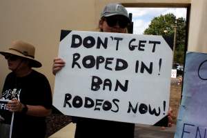 Protest outside of Queanbeyan Rodeo - Photos taken at a protest organised by Animal Liberation ACT and Animal Defenders Office outside of Queanbeyan Rodeo, where animals such as horse and cattle have been seen and recorded being chased, mistreated, and tormented. - Captured at NSW.