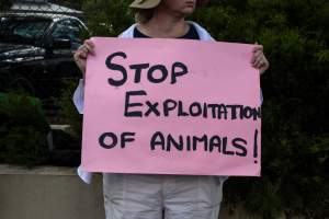 Protest outside of Queanbeyan Rodeo - Photos taken at a protest organised by Animal Liberation ACT and Animal Defenders Office outside of Queanbeyan Rodeo, where animals such as horse and cattle have been seen and recorded being chased, mistreated, and tormented. - Captured at NSW.