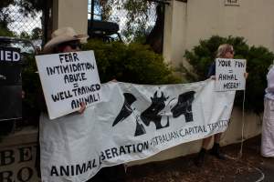 Protest outside of Queanbeyan Rodeo - Photos taken at a protest organised by Animal Liberation ACT and Animal Defenders Office outside of Queanbeyan Rodeo, where animals such as horse and cattle have been seen and recorded being chased, mistreated, and tormented. - Captured at NSW.
