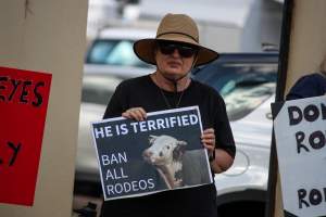 Protest outside of Queanbeyan Rodeo - Photos taken at a protest organised by Animal Liberation ACT and Animal Defenders Office outside of Queanbeyan Rodeo, where animals such as horse and cattle have been seen and recorded being chased, mistreated, and tormented. - Captured at NSW.