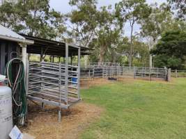 Slaughterhouse exterior - Real estate listing photo - Captured at Miller's Gourmet Meats slaughterhouse, Bukali QLD Australia.