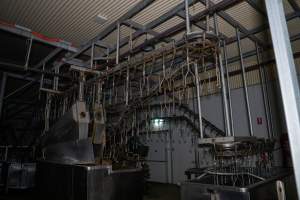 Shackle line - Captured at Tinder Creek Duck Abattoir, Tennyson NSW Australia.