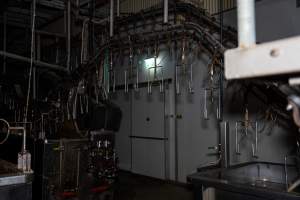 Shackle line - Captured at Tinder Creek Duck Abattoir, Tennyson NSW Australia.