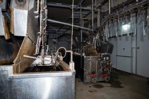 Further processing area - Captured at Tinder Creek Duck Abattoir, Tennyson NSW Australia.