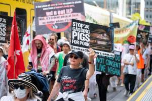 Dominion Animal Rights March 2025 - Captured at VIC.