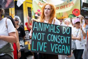 Dominion Animal Rights March 2025 - Captured at VIC.