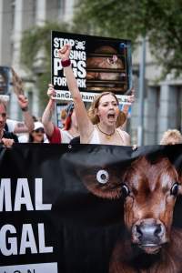 Dominion Animal Rights Marc 2025 - Captured at VIC.