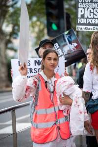 Dominion Animal Rights Marc 2025 - Captured at VIC.