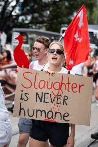 Dominion Animal Rights Marc 2025 - Captured at VIC.