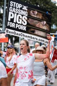 Dominion Animal Rights Marc 2025 - Captured at VIC.
